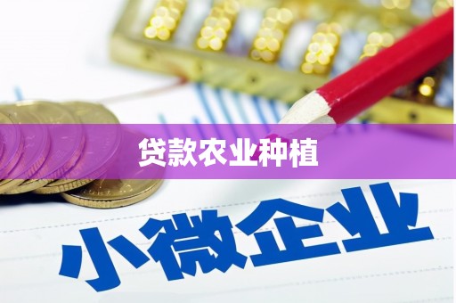 木垒贷款农业种植