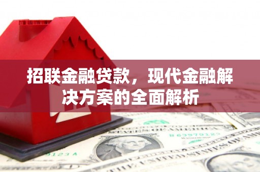 木垒招联金融贷款，现代金融解决方案的全面解析