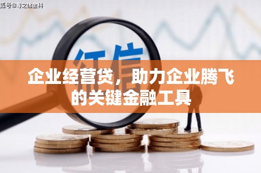 木垒企业经营贷，助力企业腾飞的关键金融工具