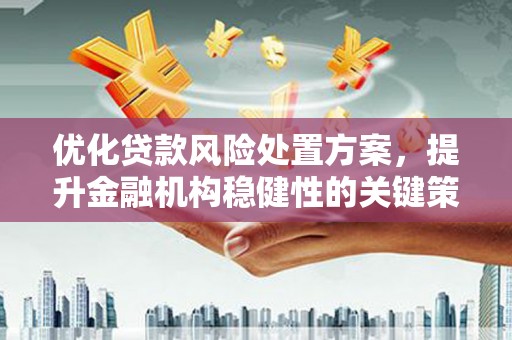 木垒优化贷款风险处置方案，提升金融机构稳健性的关键策略