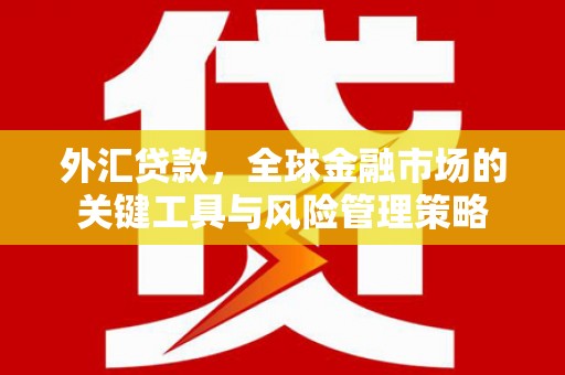 木垒外汇贷款，全球金融市场的关键工具与风险管理策略