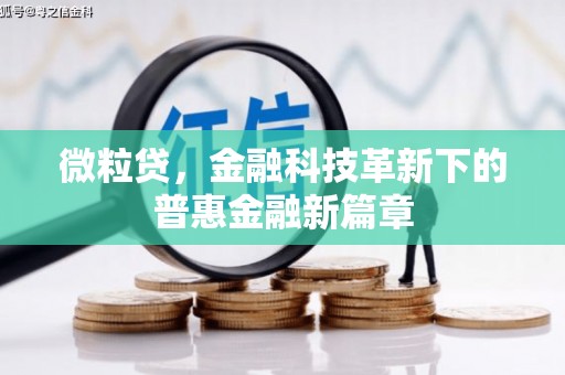 木垒微粒贷，金融科技革新下的普惠金融新篇章