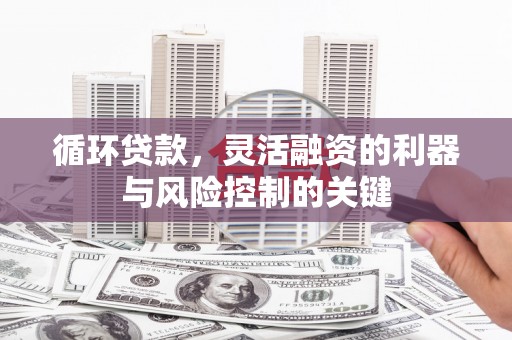 木垒循环贷款，灵活融资的利器与风险控制的关键