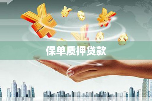木垒保单质押贷款