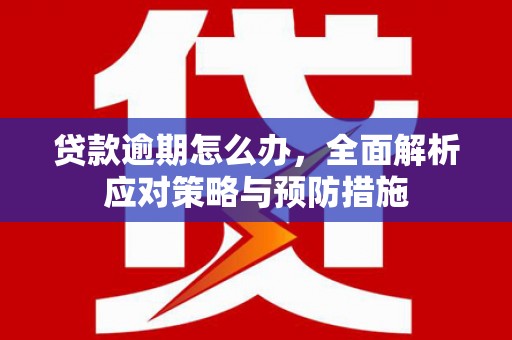 木垒贷款逾期怎么办，全面解析应对策略与预防措施