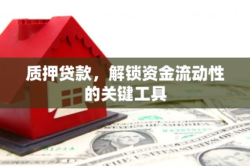 木垒质押贷款，解锁资金流动性的关键工具