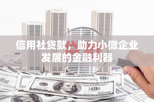 木垒信用社贷款，助力小微企业发展的金融利器