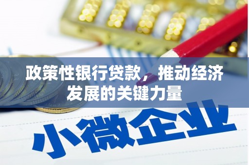 木垒政策性银行贷款，推动经济发展的关键力量
