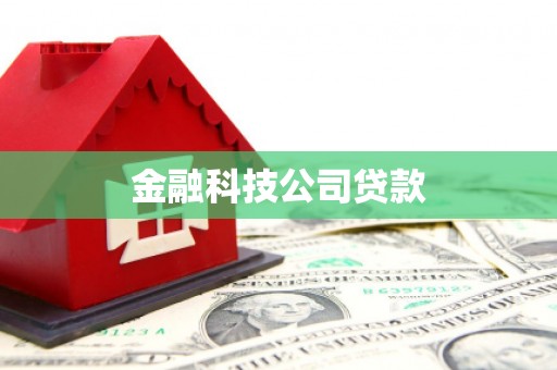 木垒金融科技公司贷款