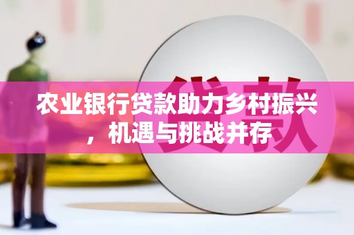 木垒农业银行贷款助力乡村振兴，机遇与挑战并存