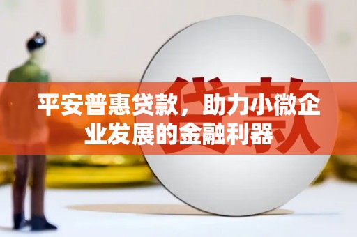 木垒平安普惠贷款，助力小微企业发展的金融利器