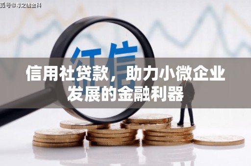 木垒信用社贷款，助力小微企业发展的金融利器