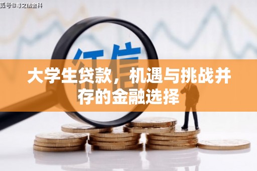 木垒大学生贷款，机遇与挑战并存的金融选择