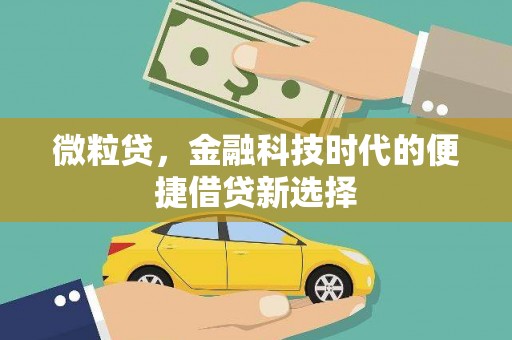 木垒微粒贷，金融科技时代的便捷借贷新选择