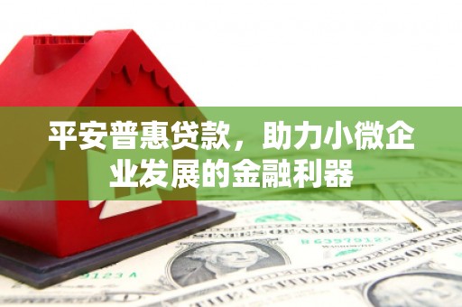 木垒平安普惠贷款，助力小微企业发展的金融利器