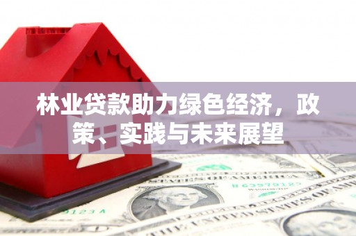 木垒林业贷款助力绿色经济，政策、实践与未来展望