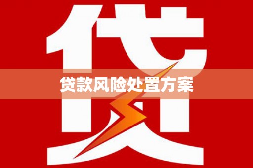 木垒贷款风险处置方案