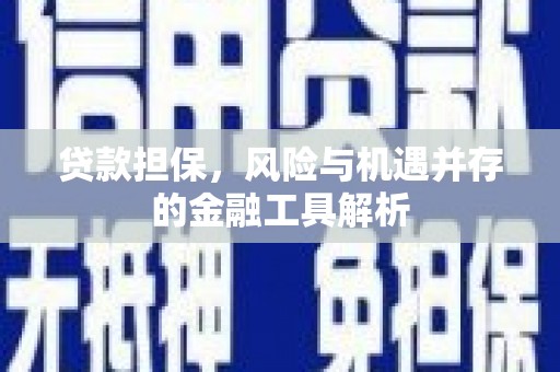 木垒贷款担保，风险与机遇并存的金融工具解析