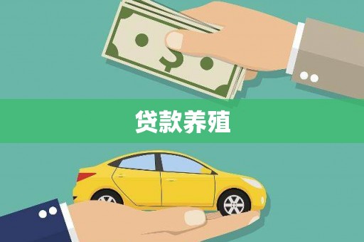 木垒贷款养殖