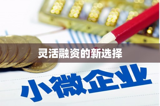 木垒灵活融资的新选择