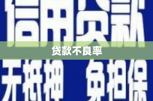 木垒贷款不良率