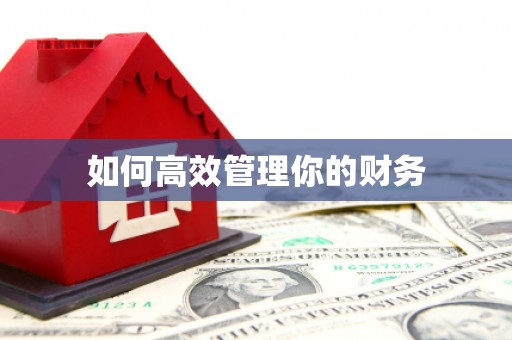 木垒如何高效管理你的财务