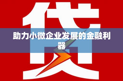 木垒助力小微企业发展的金融利器