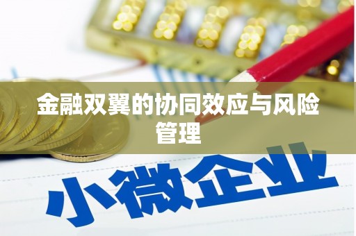 木垒金融双翼的协同效应与风险管理