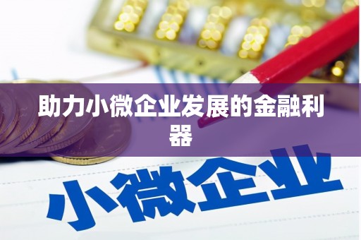木垒助力小微企业发展的金融利器