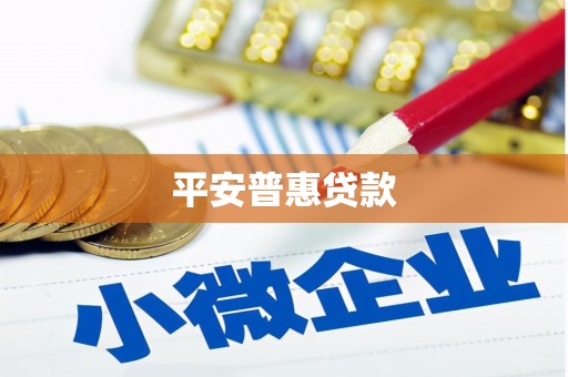 木垒平安普惠贷款
