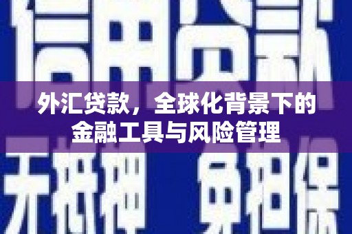 木垒外汇贷款，全球化背景下的金融工具与风险管理