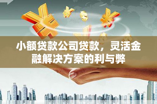 木垒小额贷款公司贷款，灵活金融解决方案的利与弊
