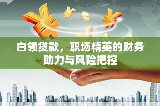 木垒白领贷款,职场精英的财务助力与风险把控 木垒白领贷款,职场精英的财务助力与风险把控