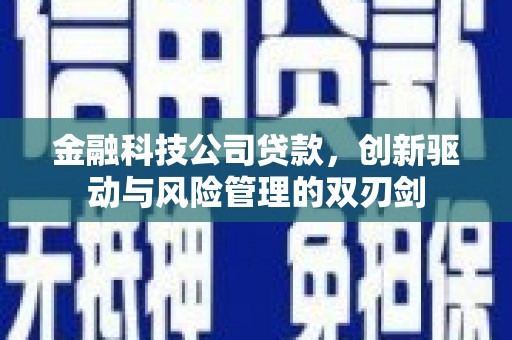 木垒金融科技公司贷款，创新驱动与风险管理的双刃剑